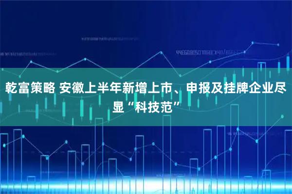 乾富策略 安徽上半年新增上市、申报及挂牌企业尽显“科技范”