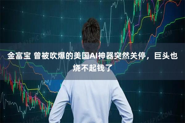 金富宝 曾被吹爆的美国AI神器突然关停，巨头也烧不起钱了