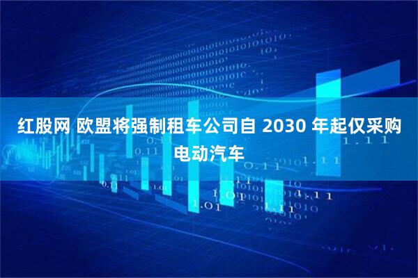 红股网 欧盟将强制租车公司自 2030 年起仅采购电动汽车