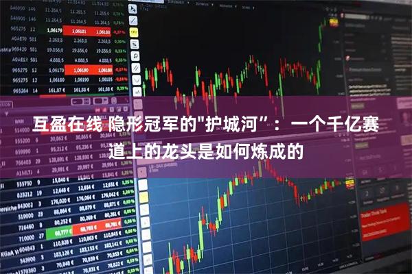 互盈在线 隐形冠军的"护城河”：一个千亿赛道上的龙头是如何炼成的